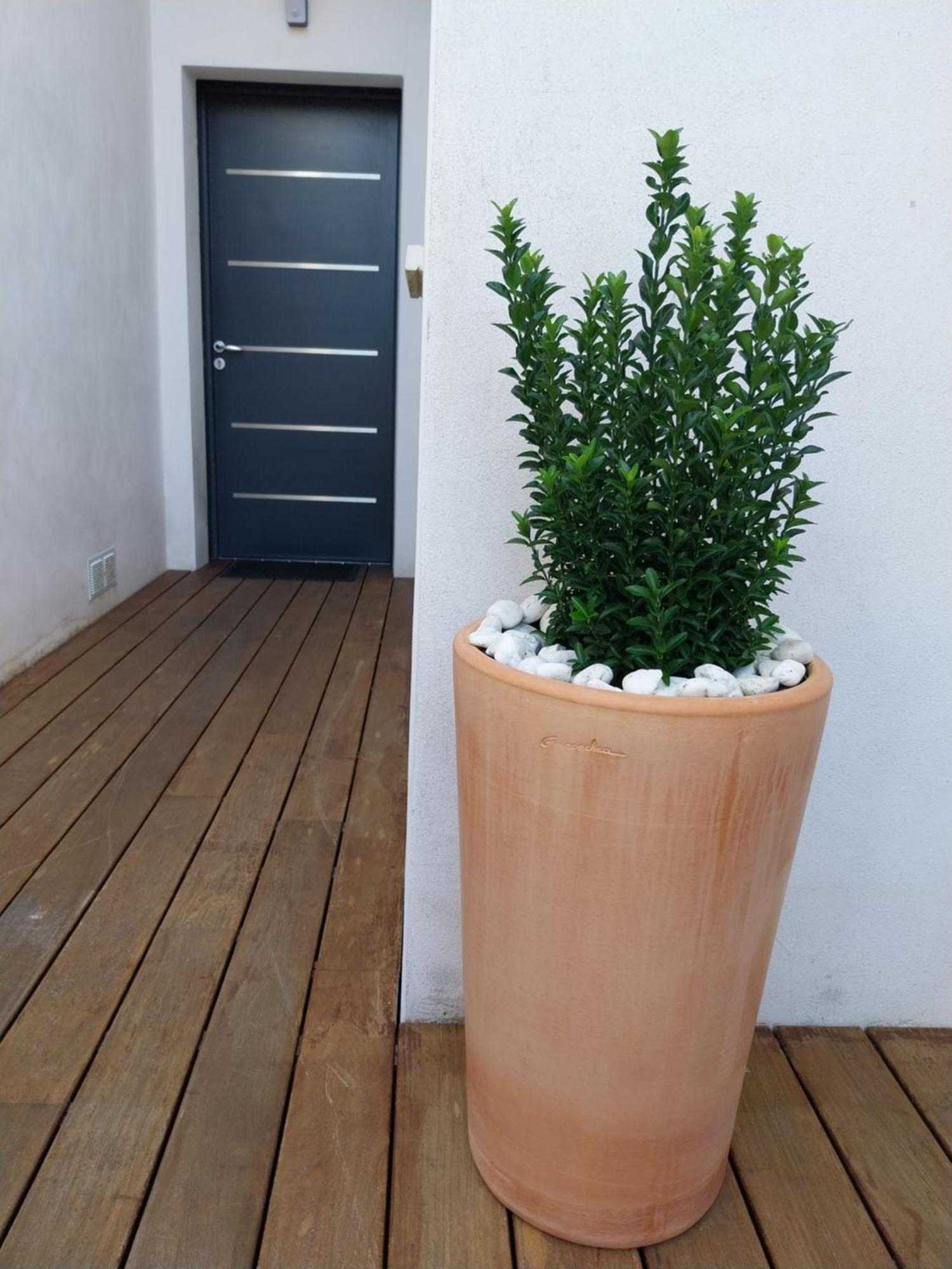 Studio Cocon Enea Bidart, Terrasse Et Parking Εξωτερικό φωτογραφία